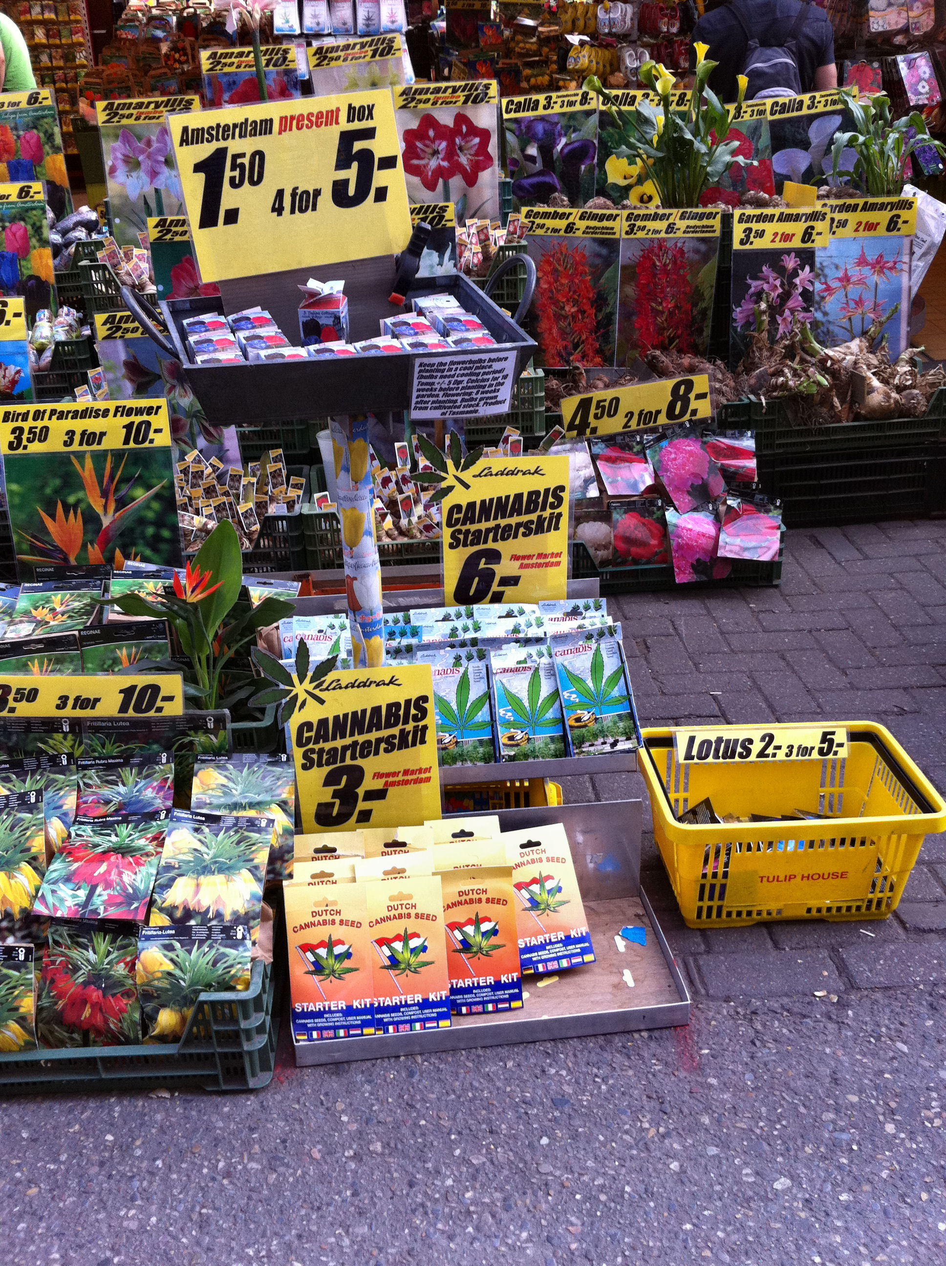 Photos of 2010 Amsterdam Stop-ove